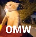 omw omw