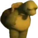 Pain