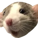 RATSMILE