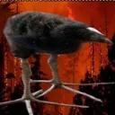 DAMNATION DAMNATION