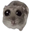 HAMP2 HAMP2