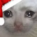 SadCat