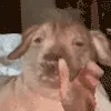 creatureRant creatureRant
