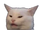 confusedCat