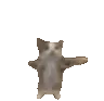 cathappy