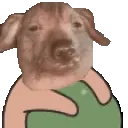 creatureBall creatureBall
