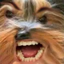 angrEBB