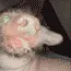 creatureTasty