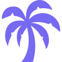 palmviolet