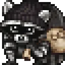 raccoonRobberPet