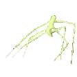 PartyStickbug animated emote - Μ Λ Υ V Ι L L Ξ🌿