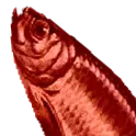 red_herring2 red_herring2