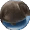 nicoball