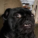 Ew_Bro