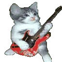 <a:6236catjam:1303314620181774336>