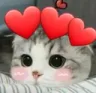 un_catheart