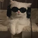 VIBE VIBE