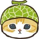Melon_cat