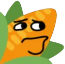 Corncerned Corncerned