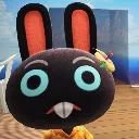Cole_stare Cole_stare