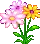 plant_wildflowers
