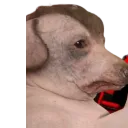 creatureStranglingDoc1