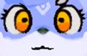 Poon_Stare