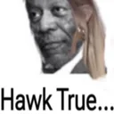 hawktrue