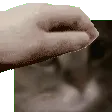 MEOWPat MEOWPat