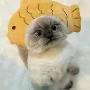 a_xiaojie5
