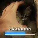 grabs_cat