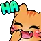 catLaugh