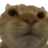 CatNo