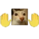 mb