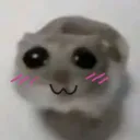 hamsterdamned