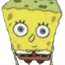 sponmge