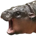 moodeng