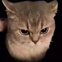 evil