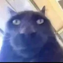 __ __