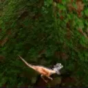 jaggiYIPPIE