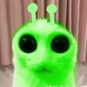 aliencat aliencat