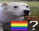 gai Discord emoji