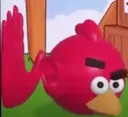 red_angry_birds_ahh_huyah_what2