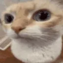 sus