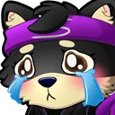 Shiba_Cry