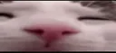 Eeepy