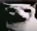 jpg jpg