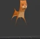 gato