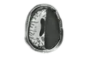 halfbrain