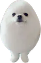 bork